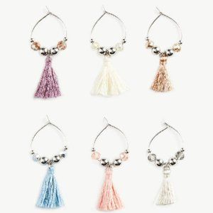 Set of 6 Wine Glass Charms New in box